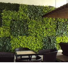 Vertical Garden / Green Wall
