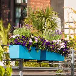 Lechuza Planters