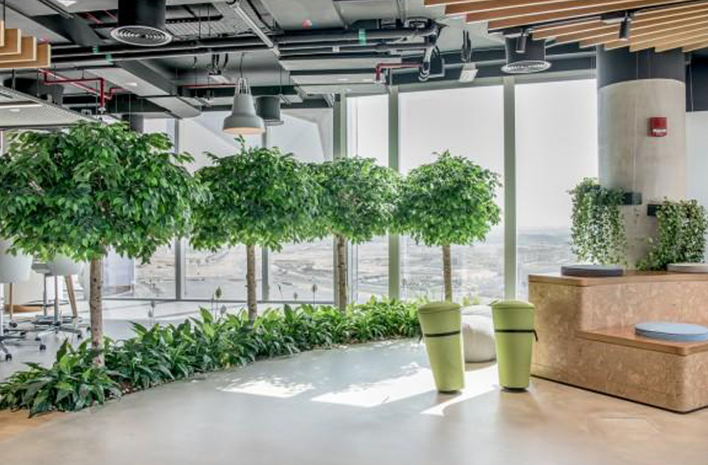 Green Walls Green Walls
