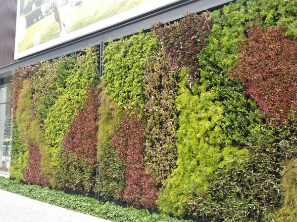 Vertical Gardens / Green Wall