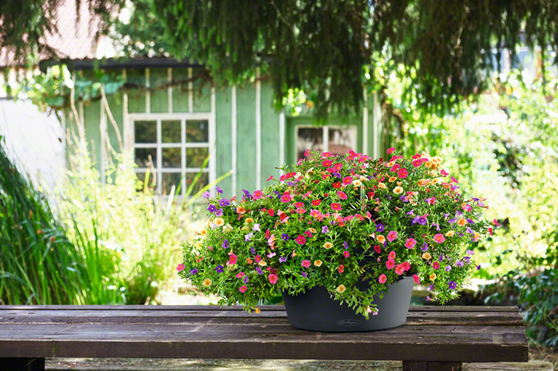 ceramic pots for plants near me Franklin 12 Ceramic Self Watering Pot Cobalt main image 0