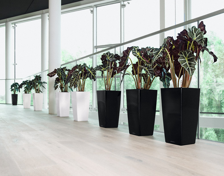 CUBICO 40 black high-gloss All-in-One Set