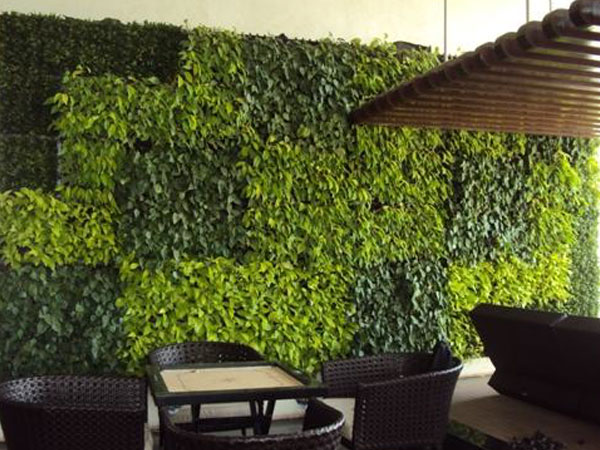 Vertical Gardens / Green Wall